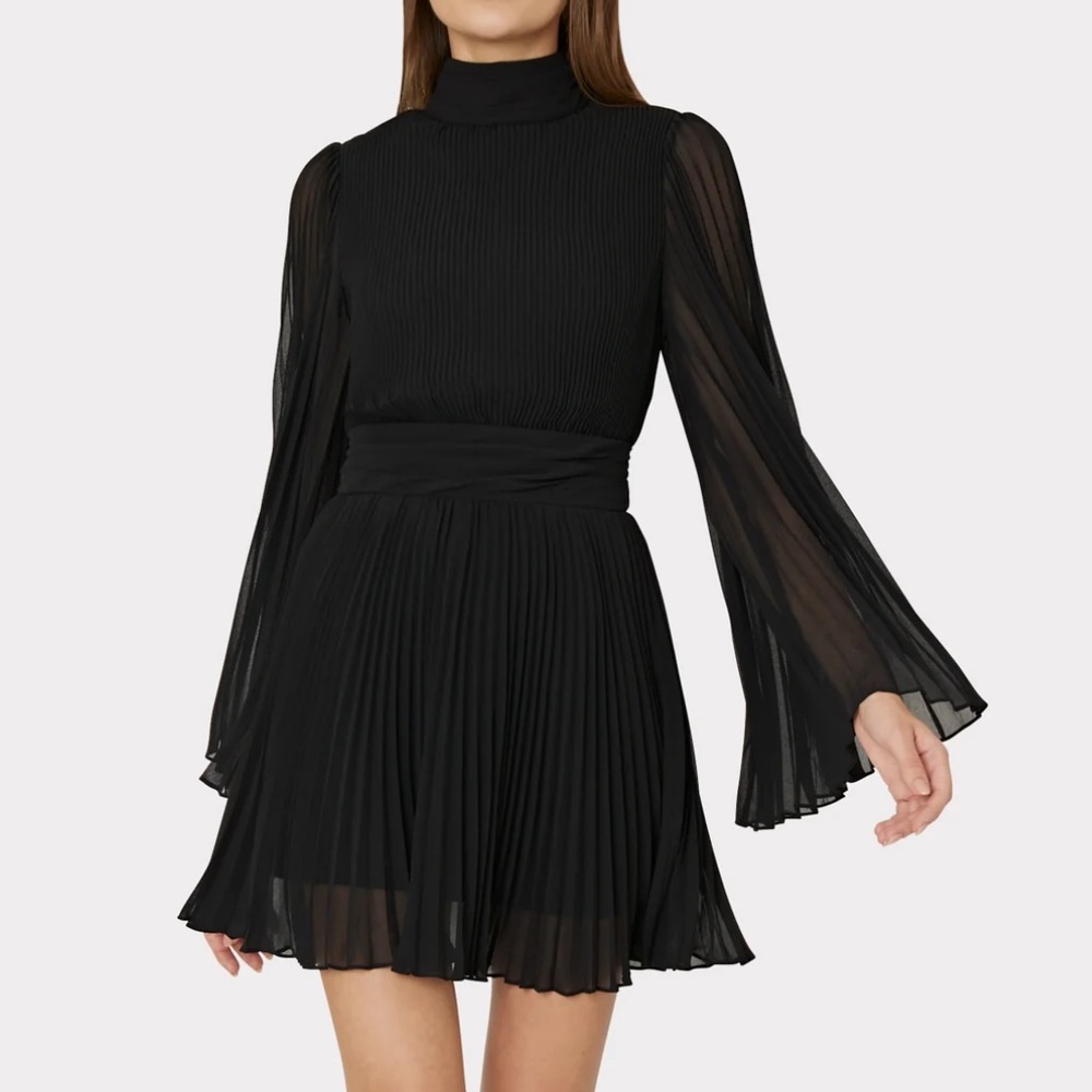 Rosemary Pleated Chiffon Dress NWT 2